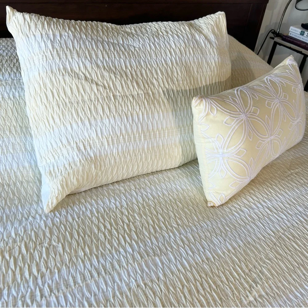 CLOTH & CANOPY Yellow White Stripe Queen Comforter Set 3pc #0911245